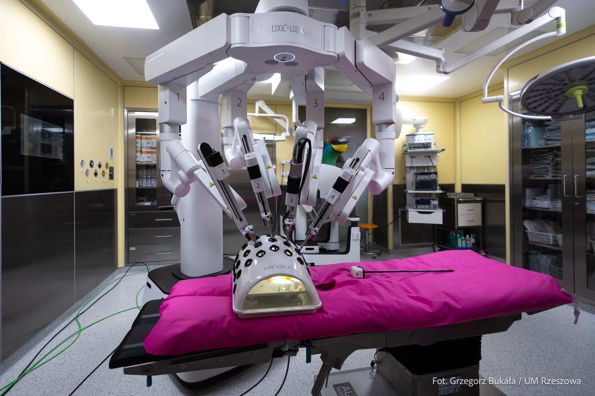 zdjęcie z konferencji prasowej przeznaczonej prezentacji nowoczesnego robota chirurgicznego w szpitalu przy ul. Rycerskiej w Rzeszowie, fot. Grzegorz Bukała, Urząd Miasta Rzeszowa